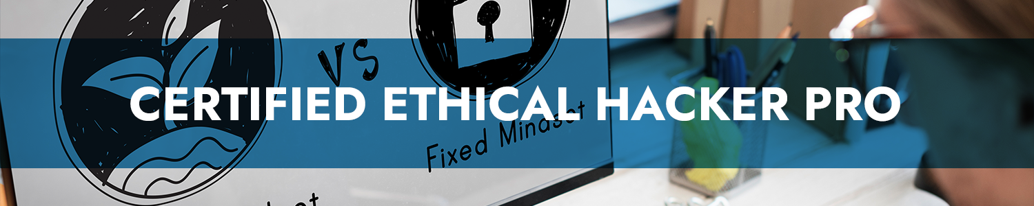 Certified Ethical Hacker Pro